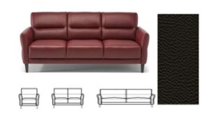 Executive Sofa set