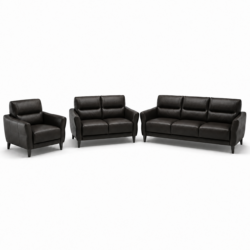 Executive Sofa set