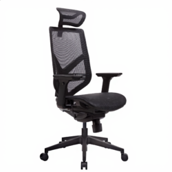 Ergonomic chair | كرسي مدير ظهر عالي