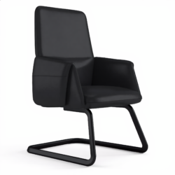 Visitor Chair